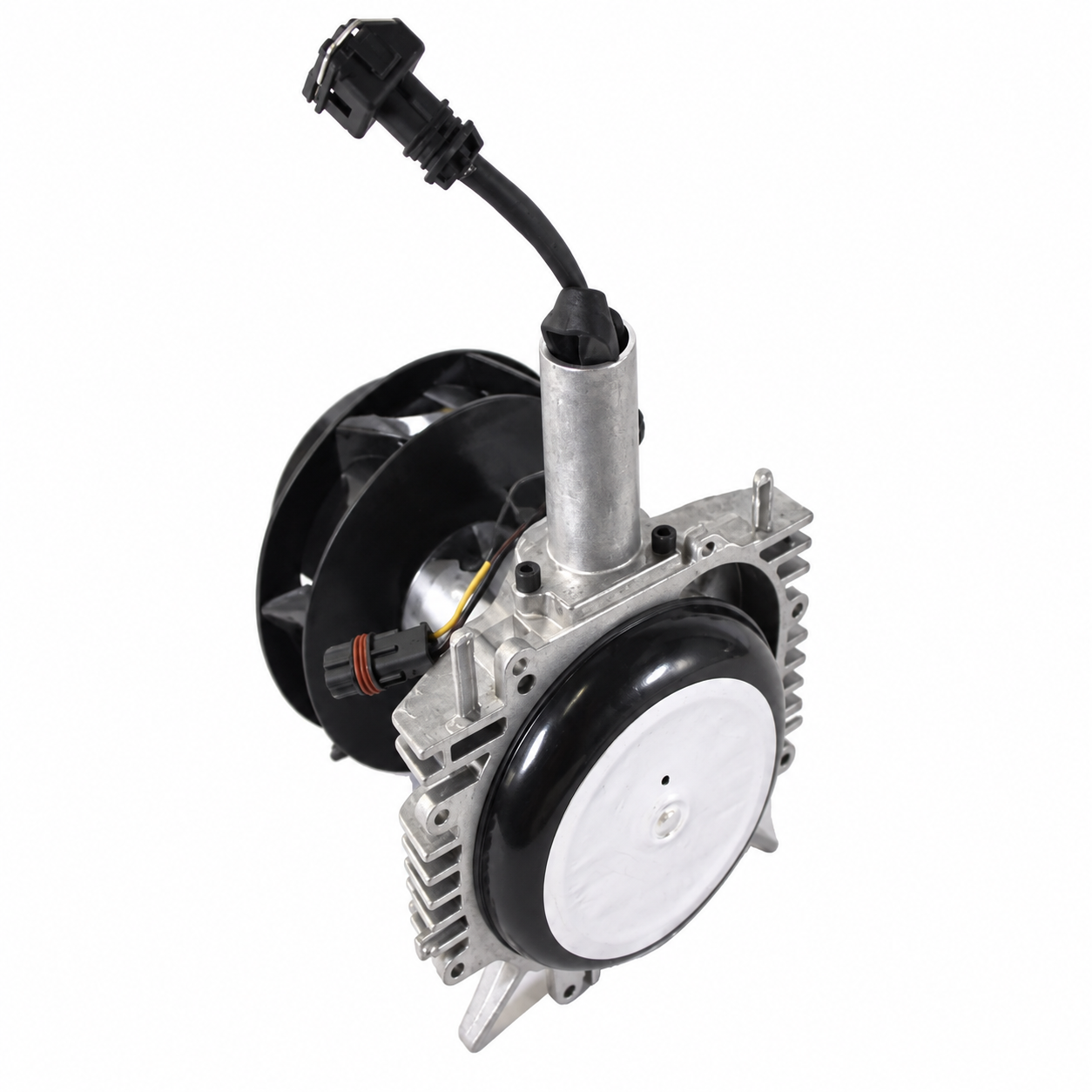 Blower motor assembly 12v